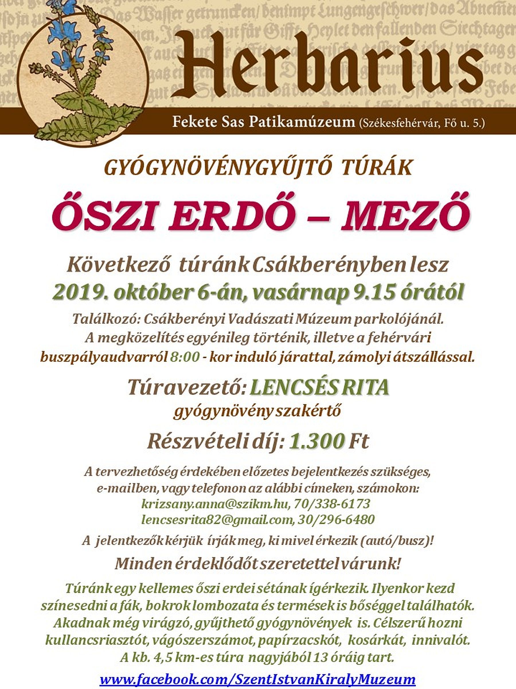 Őszi bogyók és gyógynövények - Csákberénybe indul Herbarius túra vasárnap
